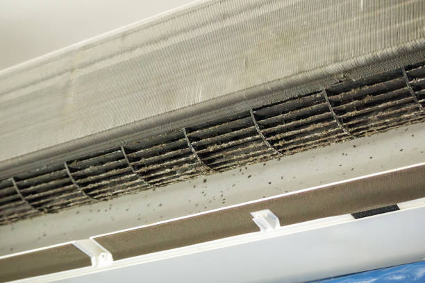 Best Air Vent Cleaning Services  in Gate City, VA